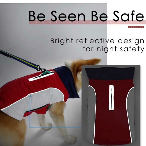 Dog 🐕 Coats - Picture 5 of 7